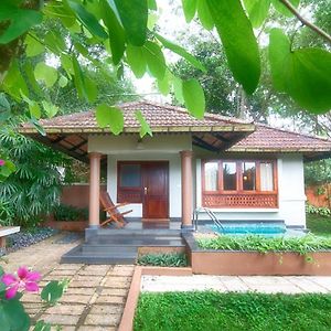 Honeymoon Villa Plunge Pool