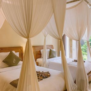Deluxe Premier Twin Room