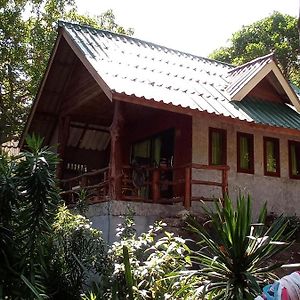 Standard Bungalow