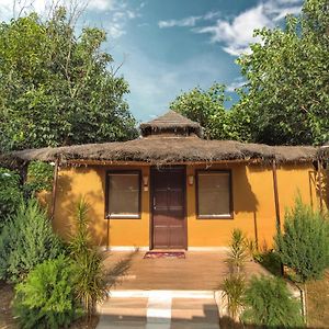 Nature Hut Jacuzzi Private Sit Out