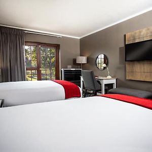 Superior Double or Twin Room Pool View