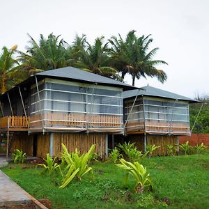 Fern Club Sea View Tent