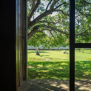 Deluxe Triple Room one tuk tuk to Galle fort & Complementary Sri Lankan tea per