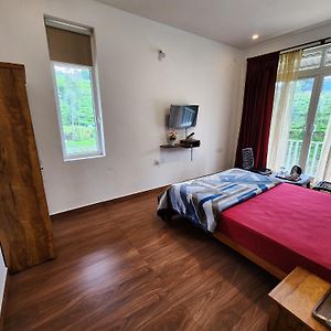 Double Room Mountain View