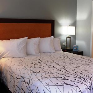 Courtyard Queen Room Pet Friendly