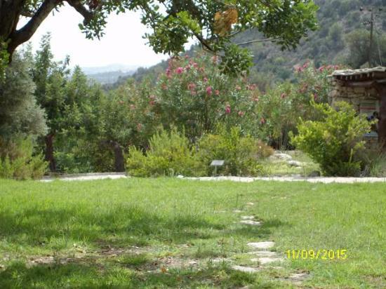 Pano Akourdaelia Herb Garden