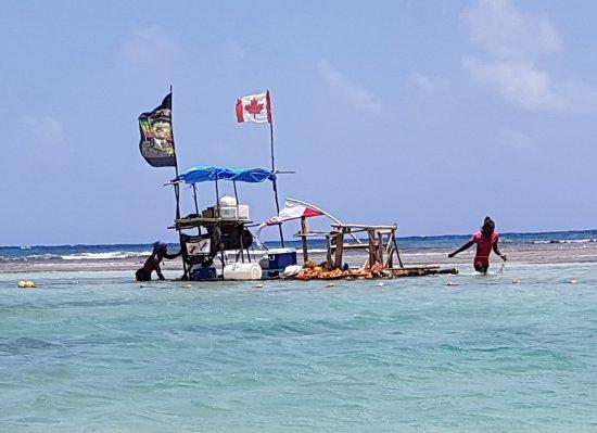 HighSeas Seafood Raft