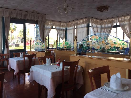 Chino Estrella De Oro