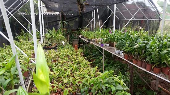 Orquidario Aguapey