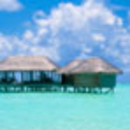 Yashinoki Sushi Bar Puerto Vallarta