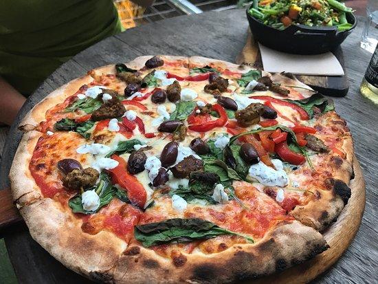 Treehouse on Belongil