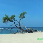 Nusa Dua strand