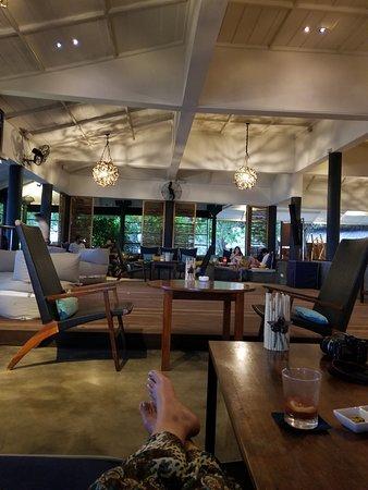 Reef Bar