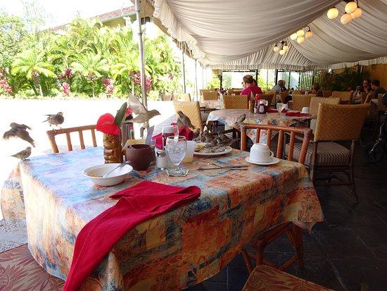 Sunday Champagne Brunch at Ka'anapali Beach Hotel