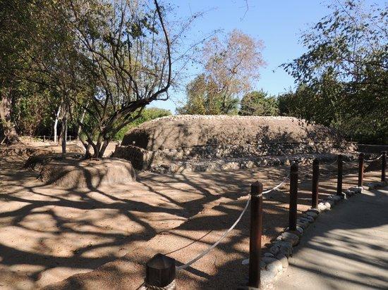 Copalita Ecological Park & Ruins