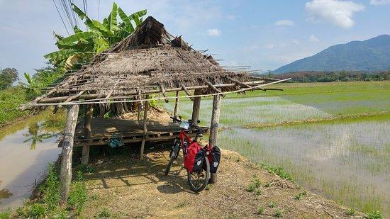 Chiangrai Bicycle Trip