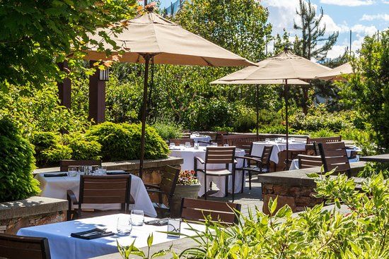 Cinnamon Bear Grille