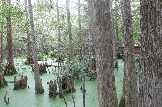 Busch Wildlife Sanctuary