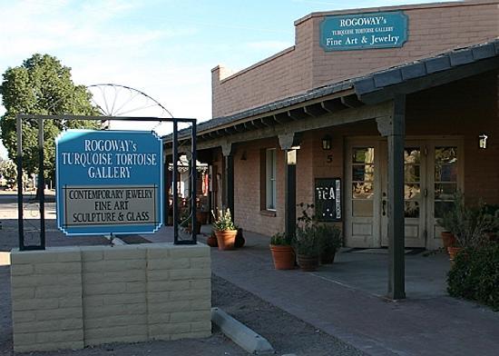 Rogoway's Turquoise Tortoise