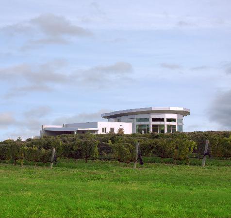 Niagara College Teaching Winery