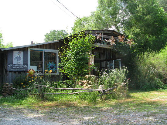 Funky Chicken Art Project