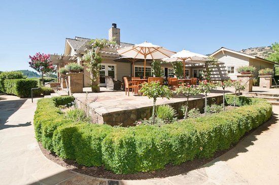 Cliff Lede Vineyards