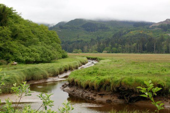 Siletz Bay National Wildlife Refuge