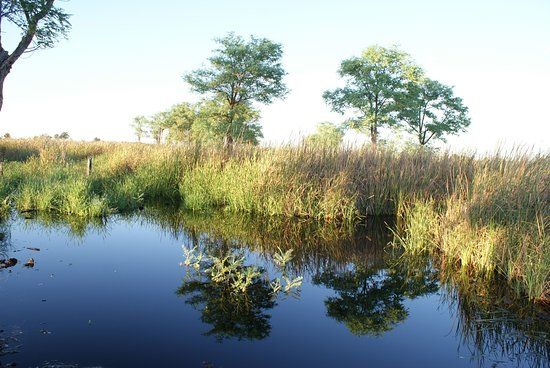 Dragon Tree Soak Nature Reserve